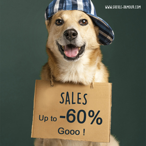 Promotions jusqu'à -60% !